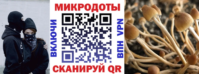 даркнет сайт  Березники  Псилоцибиновые грибы Psilocybe 